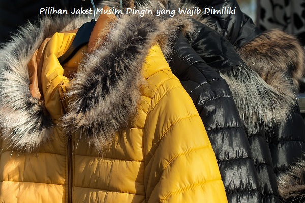 Jaket Musim Dingin